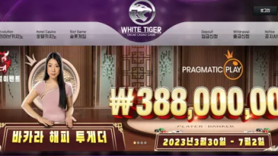 먹튀공유 먹튀사이트 백호카지노 (WHITE TIGER)